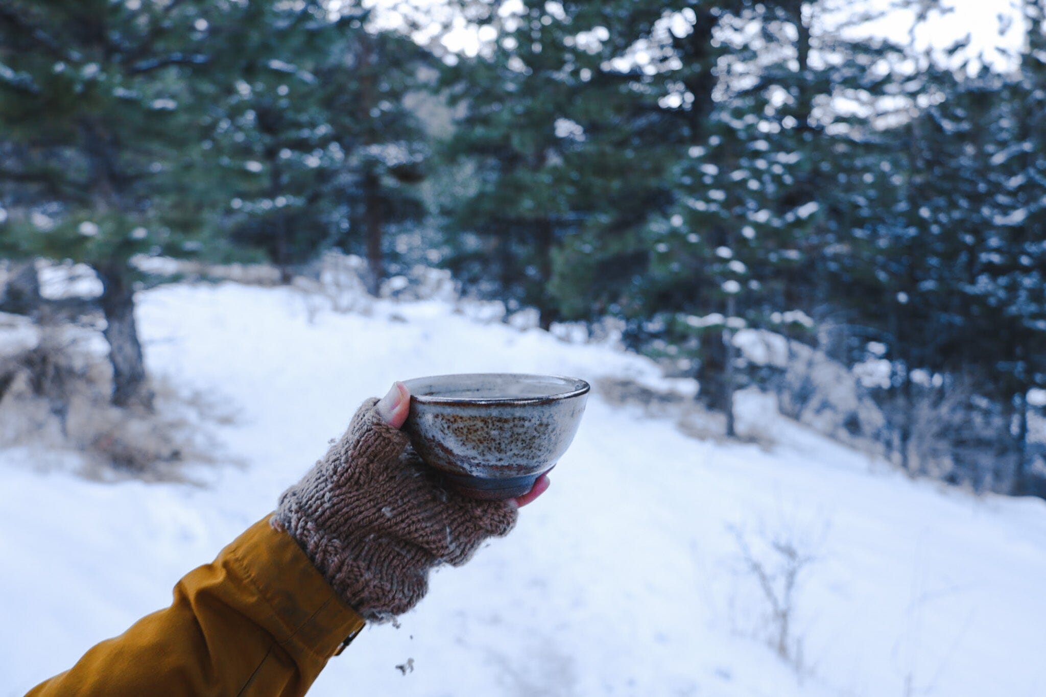 A Winter Solstice Tea Ritual: Reflection, Release, and Renewal