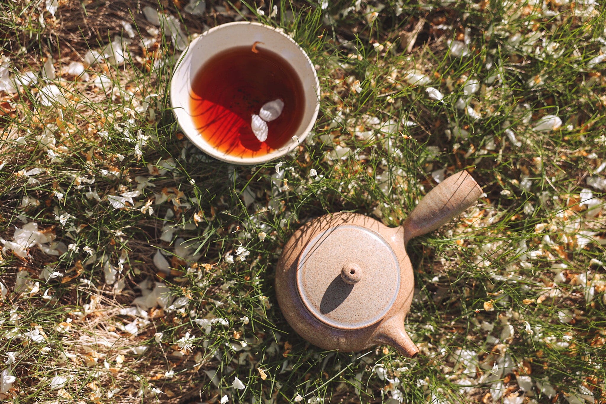 Clarifying One's Vision, Purpose, and Path to Achievement: Seasonal Tea Club Spring 2024