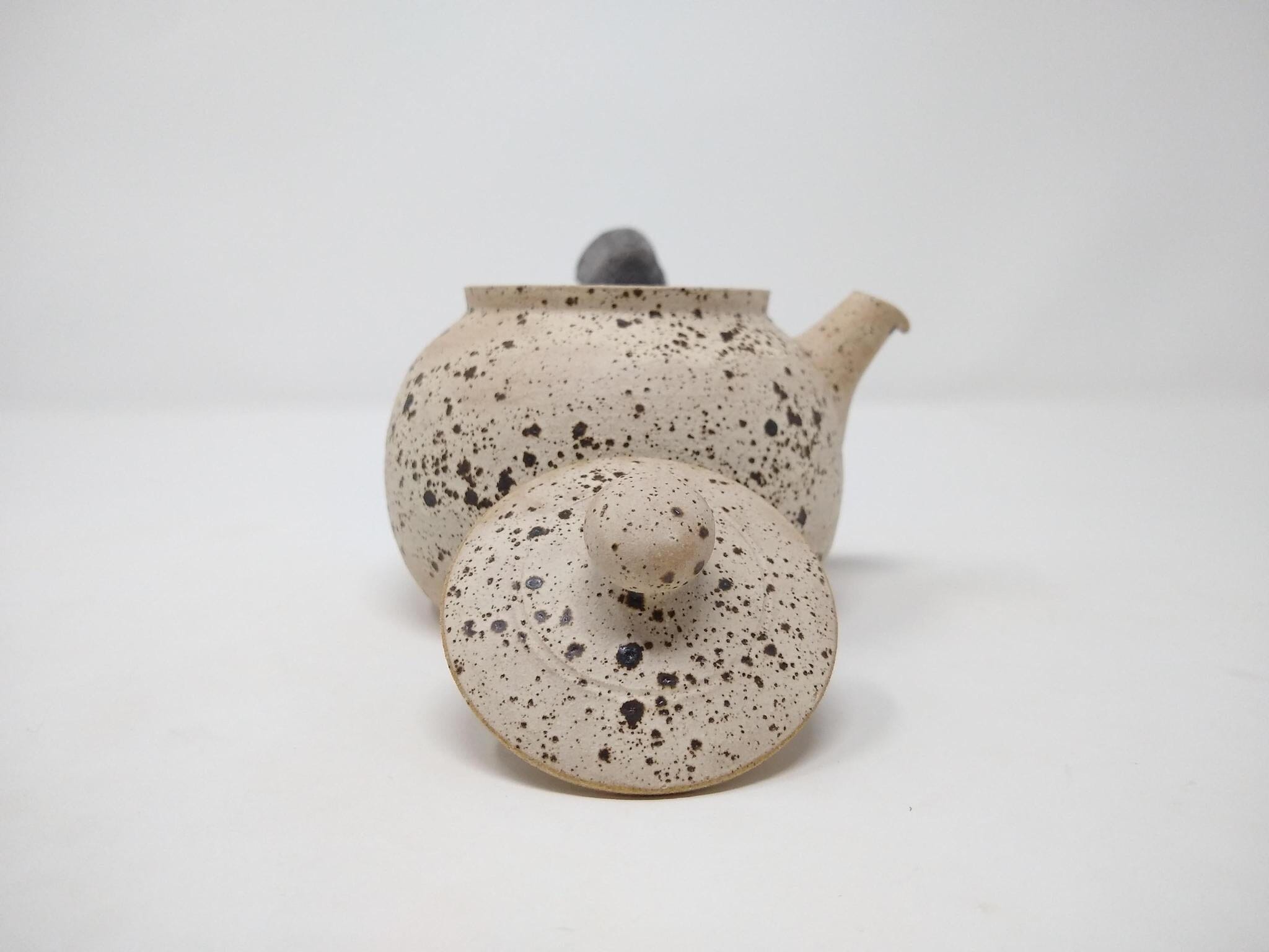 Leonardo Montana Teatime Teapot – Modern Quests